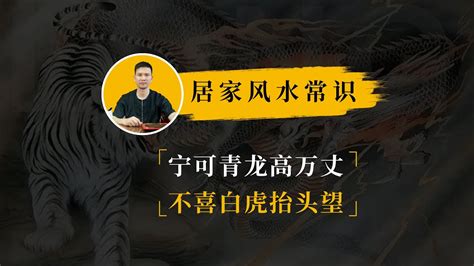 宁可青龙高万丈|民谚：宁可青龙高百尺，不可白虎乱抬头，“白虎煞”是啥意思？